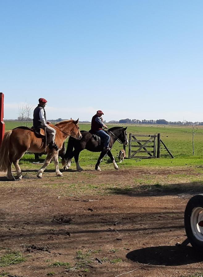 Cabana Rural El Encuentro San Antonio de Areco Exteriér fotografie