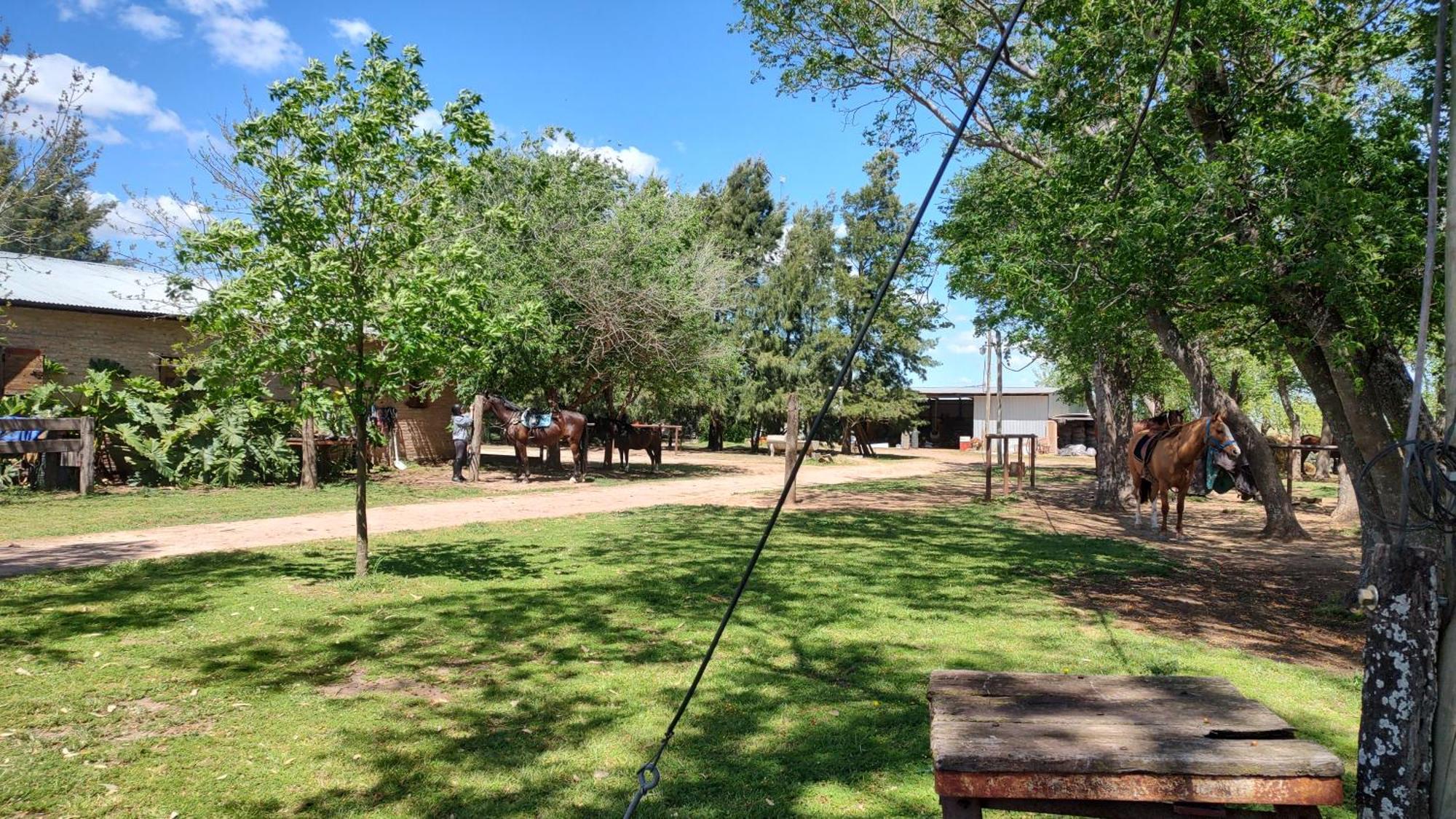 Cabana Rural El Encuentro San Antonio de Areco Pokoj fotografie