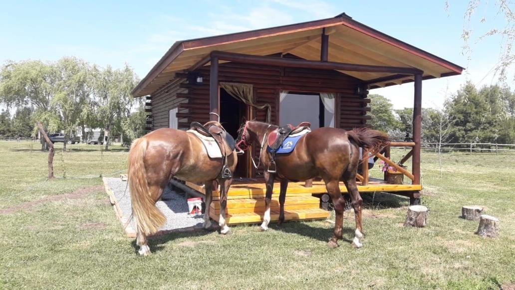 Cabana Rural El Encuentro San Antonio de Areco Exteriér fotografie