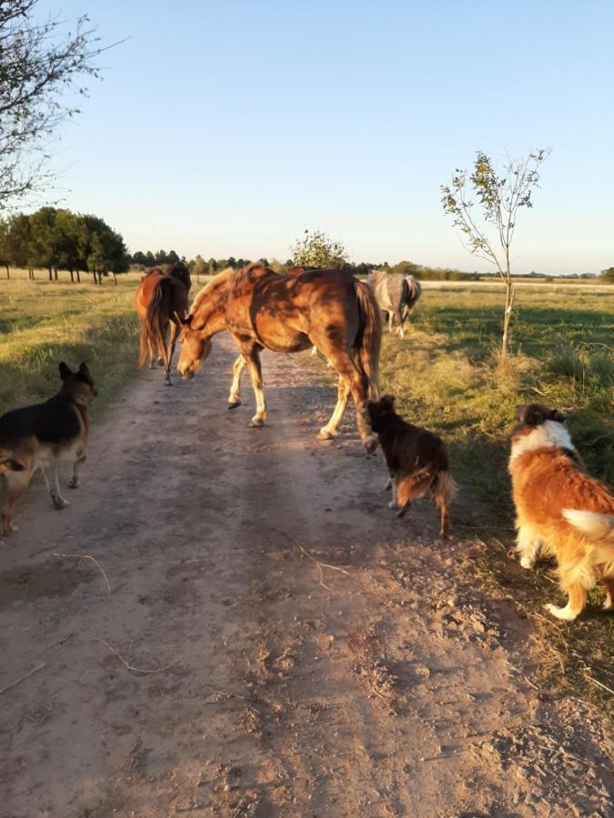 Cabana Rural El Encuentro San Antonio de Areco Exteriér fotografie